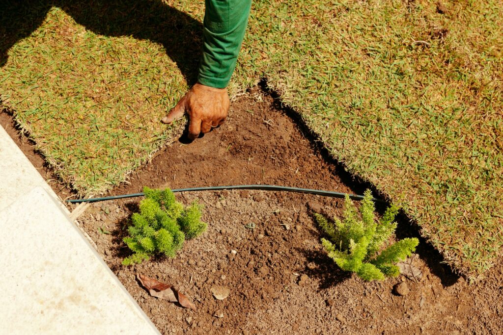 Landscaping Drainage