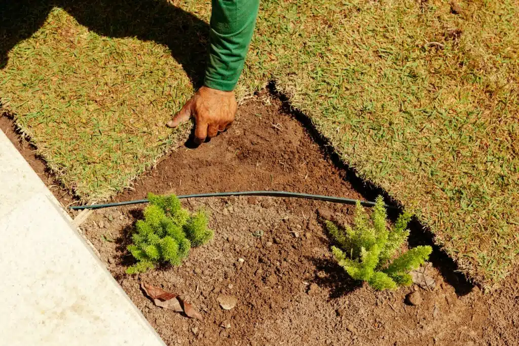 Landscaping Drainage